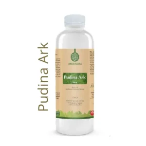 Pudina Ark
