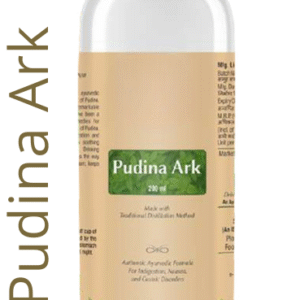 Pudina Ark